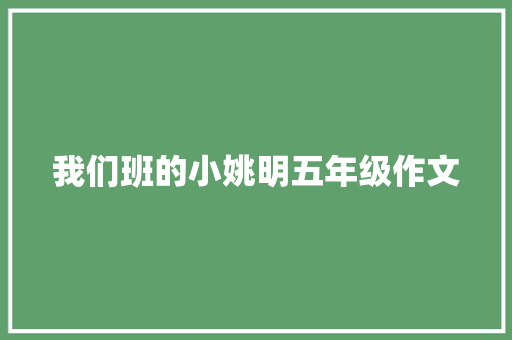 我们班的小姚明五年级作文 职场范文