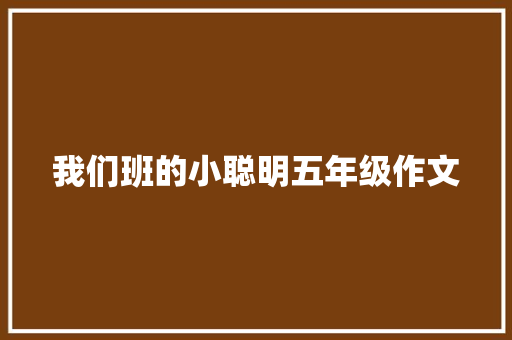 我们班的小聪明五年级作文 综述范文