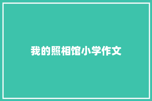 我的照相馆小学作文