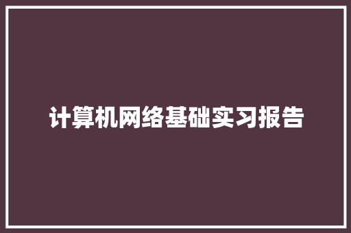 计算机网络基础实习报告