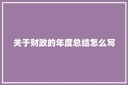 关于财政的年度总结怎么写