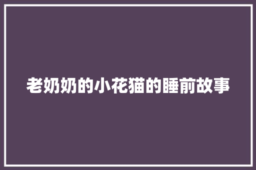 老奶奶的小花猫的睡前故事