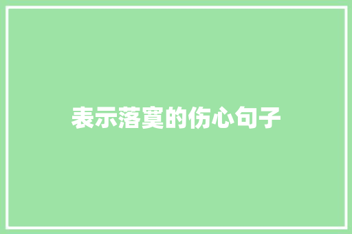 表示落寞的伤心句子 工作总结范文