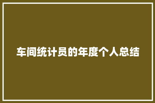 车间统计员的年度个人总结 会议纪要范文