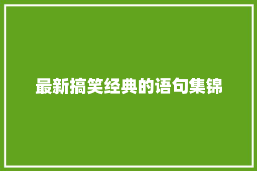 最新搞笑经典的语句集锦