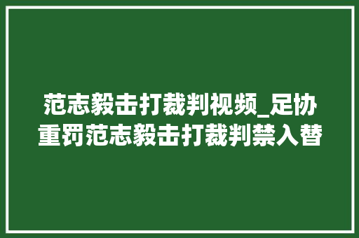 范志毅击打裁判视频_足协重罚范志毅击打裁判禁入替补席1年罚款20万