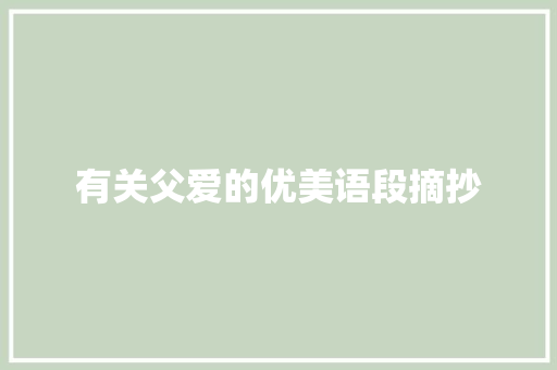 有关父爱的优美语段摘抄