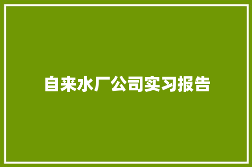 自来水厂公司实习报告