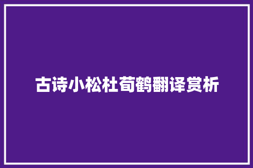 古诗小松杜荀鹤翻译赏析