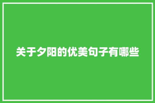 关于夕阳的优美句子有哪些