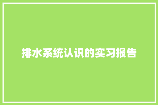 排水系统认识的实习报告