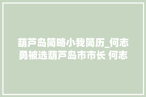 葫芦岛简略小我简历_何志勇被选葫芦岛市市长 何志勇简历