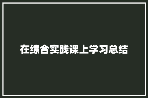 在综合实践课上学习总结 简历范文