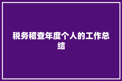 税务稽查年度个人的工作总结