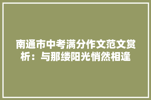 南通市中考满分作文范文赏析：与那缕阳光悄然相逢 综述范文