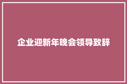 企业迎新年晚会领导致辞