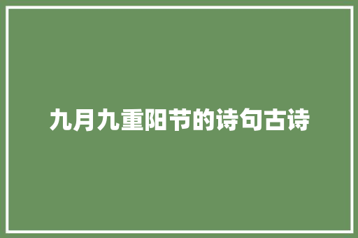 九月九重阳节的诗句古诗