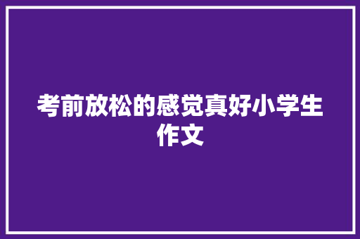 考前放松的感觉真好小学生作文 职场范文