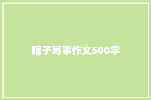 瞎子写事作文500字 学术范文