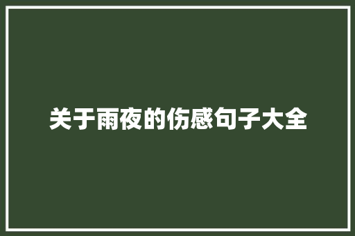 关于雨夜的伤感句子大全