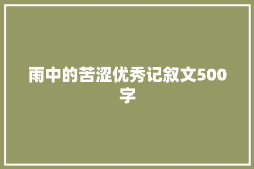 雨中的苦涩优秀记叙文500字 工作总结范文