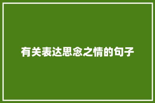 有关表达思念之情的句子