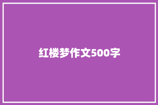 红楼梦作文500字