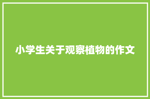 小学生关于观察植物的作文