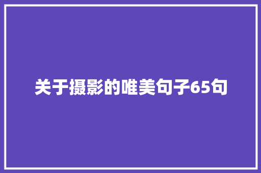 关于摄影的唯美句子65句