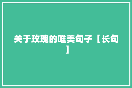 关于玫瑰的唯美句子【长句】