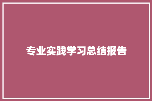 专业实践学习总结报告