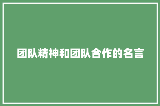 团队精神和团队合作的名言