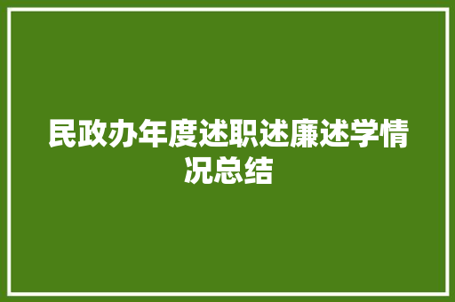 民政办年度述职述廉述学情况总结