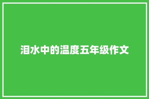 泪水中的温度五年级作文