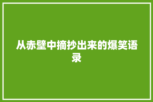 从赤壁中摘抄出来的爆笑语录