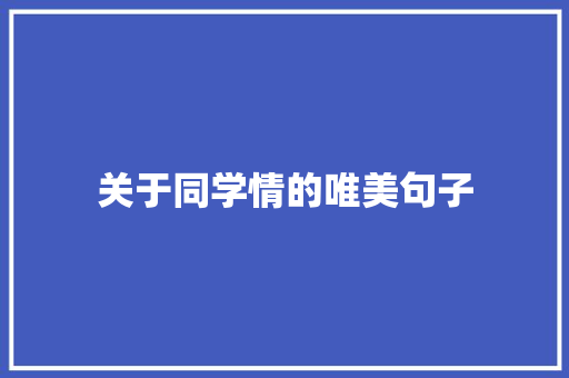 关于同学情的唯美句子 论文范文