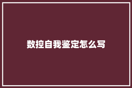 数控自我鉴定怎么写