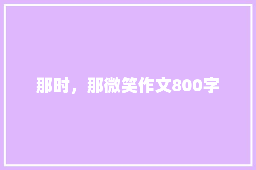 那时，那微笑作文800字