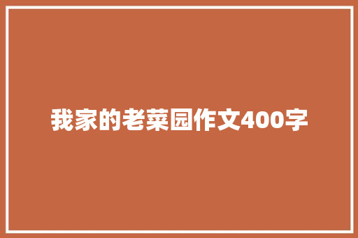 我家的老菜园作文400字