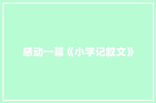 感动一幕《小学记叙文》