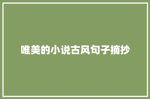 唯美的小说古风句子摘抄