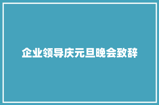 企业领导庆元旦晚会致辞