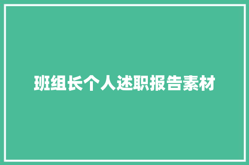 班组长个人述职报告素材 演讲稿范文