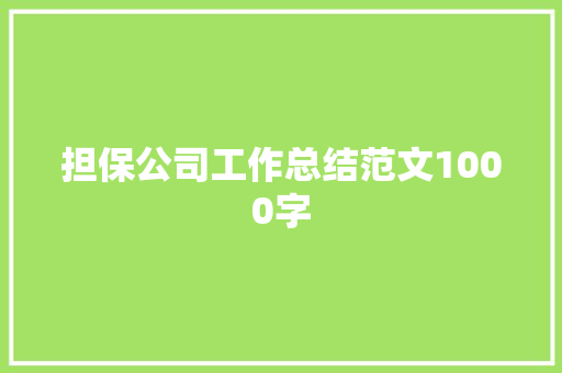 担保公司工作总结范文1000字