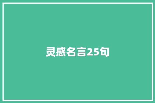 灵感名言25句