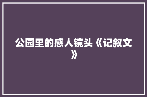 公园里的感人镜头《记叙文》