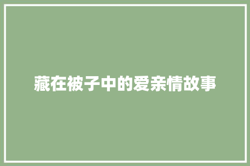 藏在被子中的爱亲情故事