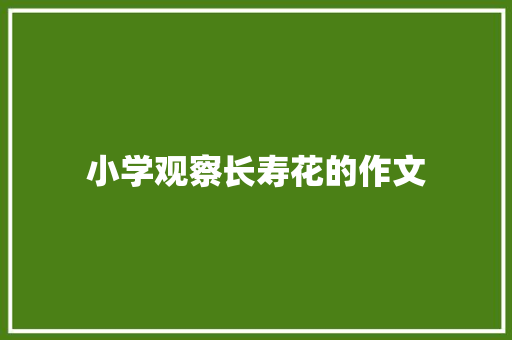 小学观察长寿花的作文