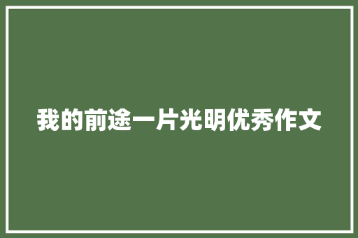 我的前途一片光明优秀作文