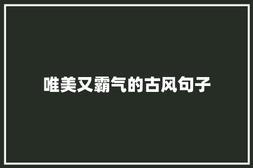 唯美又霸气的古风句子